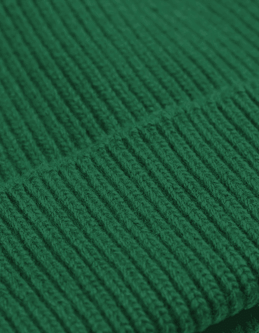 Colorful Standard Merino Wool Hat Kelly Green